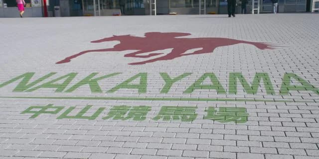 【オーシャンS予想2018】初の中山でも勝ち負け可能、ビップライブリーに注目