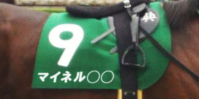 豪州に日本馬旋風引き起こせるか？マイネル軍団から2頭が更なる挑戦