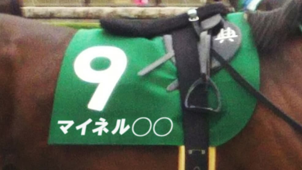 豪州に日本馬旋風引き起こせるか？マイネル軍団から2頭が更なる挑戦