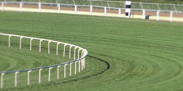 JRAマイルCS当日の馬場は？先週の馬場傾向を距離別のデータで分析予想