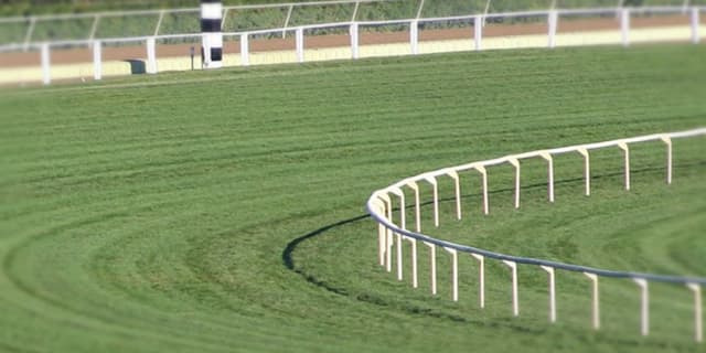 【東京新聞杯2019予想】左回りで見直したい穴馬リライアブルエース