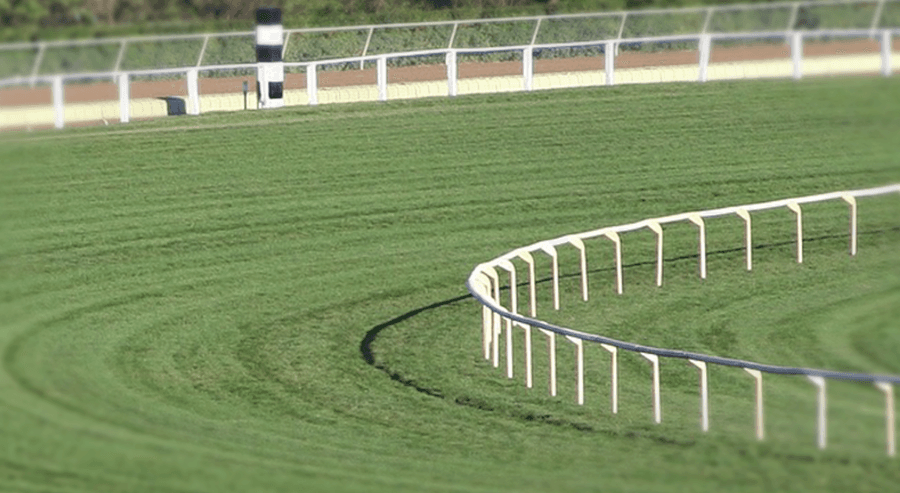【東京新聞杯2019予想】左回りで見直したい穴馬リライアブルエース