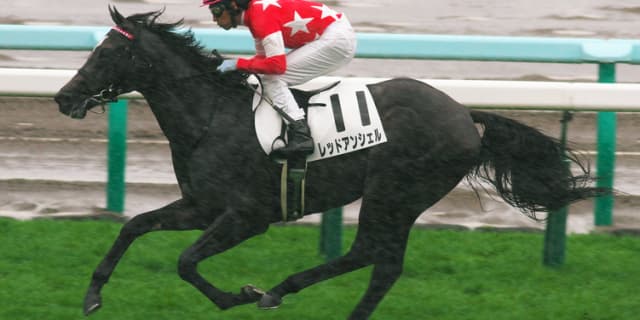 【ダービー卿CT予想2018】マイル路線の柱を目指す4歳世代期待のマイラー、レッドアンシェル