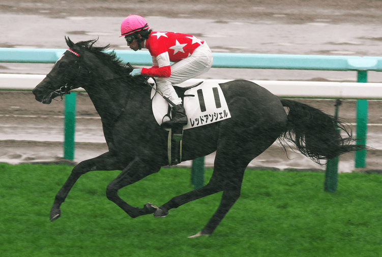 【垂水S予想2018】3歳オープン実績馬が準OPで激突！再度出世の足がかりとなるか？