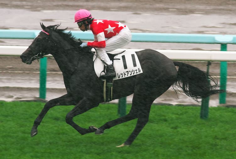 【ダービー卿CT予想2018】マイル路線の柱を目指す4歳世代期待のマイラー、レッドアンシェル