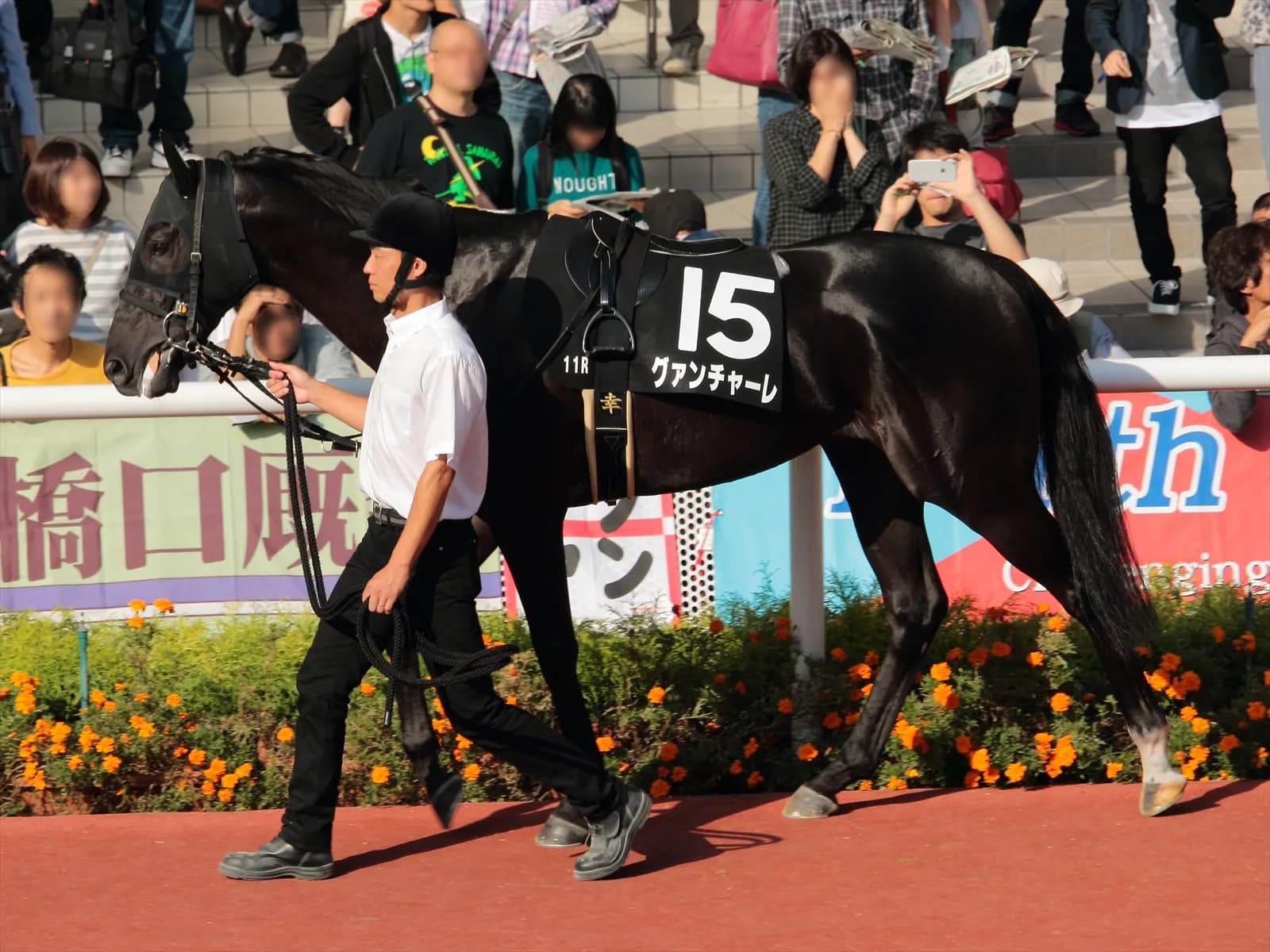 スクリーンヒーローの系譜を受け継ぐ第3の馬・グァンチャーレ