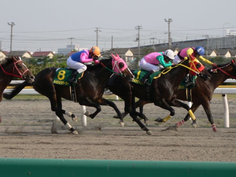 偉大なる父を超えられるか？芝ダート兼用で晩成馬も出せる注目種牡馬