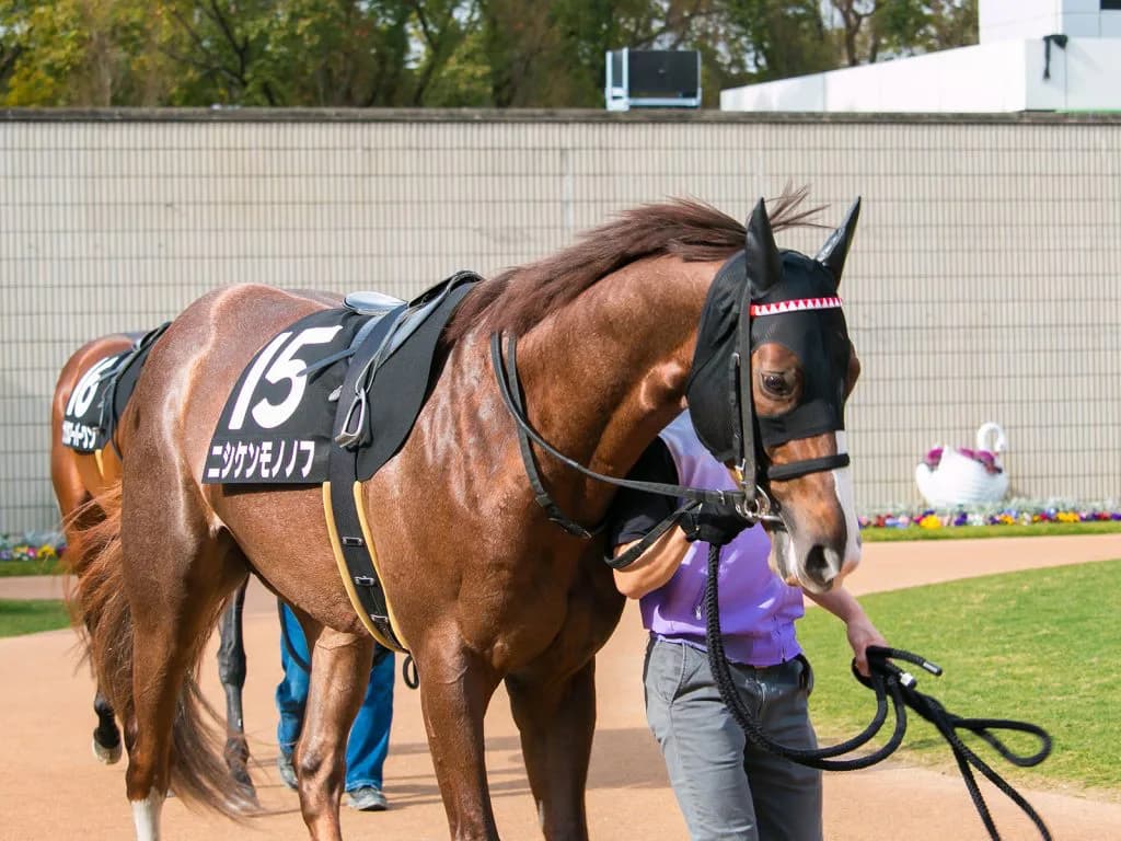 東京スプリント、G3とは思えない豪華メンバー集結！