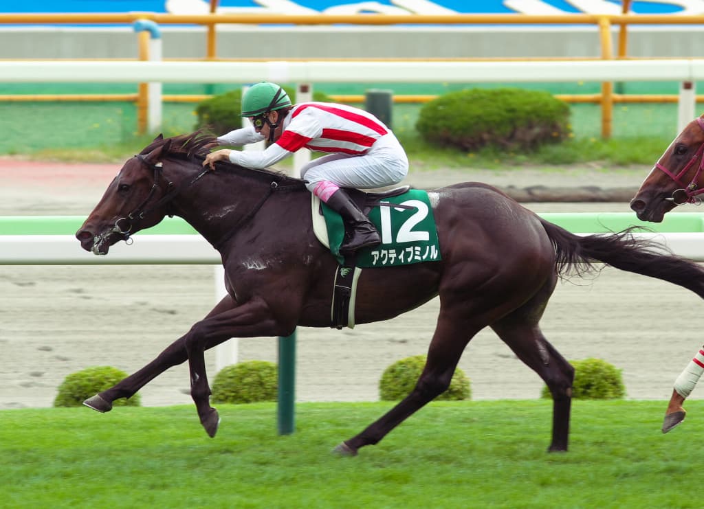 【天王山S予想2018】アクティブミノル、新境地へ