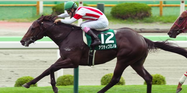 【天王山S予想2018】アクティブミノル、新境地へ