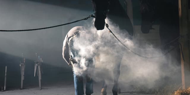 【注目新馬】サウンドトゥルーの後継者なるか？ホウオウトゥルース初陣へ