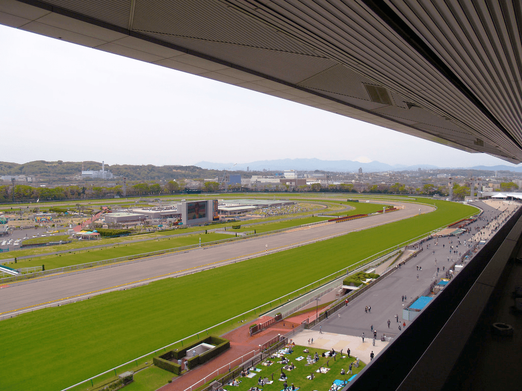 【武蔵野S予想2018】東京コース連対率100%、ナムラミラクル