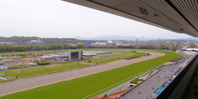 【NHKマイルC予想2018】タワーオブロンドン、ベスト舞台での快走期待！