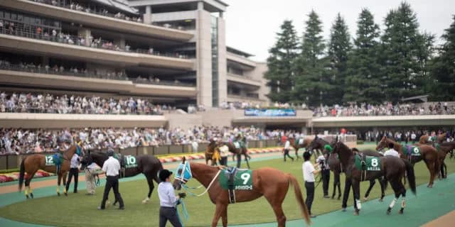 【目黒記念2019予想】ハンデ恩恵があるムイトオブリガード、得意の舞台で巻き返しなるか