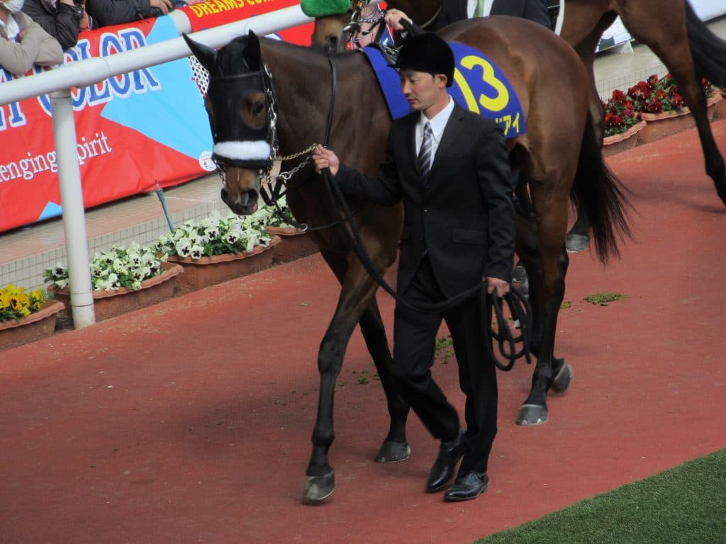 【JRA】アーモンドアイの初子は総額2億4000万円で募集、シルクホースクラブ史上最高額