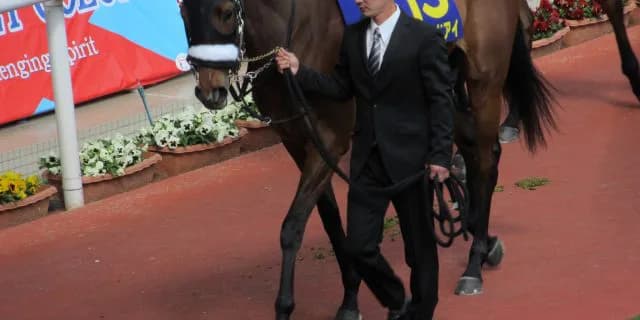 【JRA】アーモンドアイの初子は総額2億4000万円で募集、シルクホースクラブ史上最高額