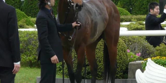 波乱傾向の葵ステークス、格上げ元年は“見”が正解？