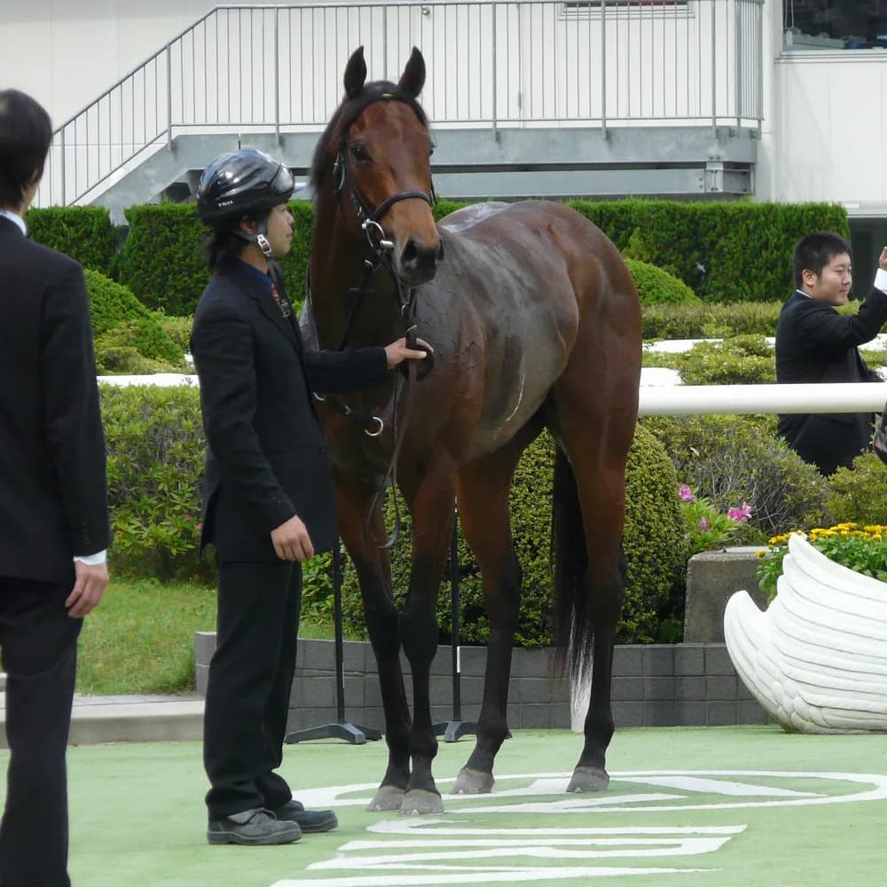 波乱傾向の葵ステークス、格上げ元年は“見”が正解？