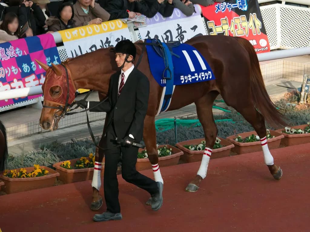 【宝塚記念2020予想】安定感魅力のラッキーライラック、牡馬相手も再度勝ち負け濃厚か