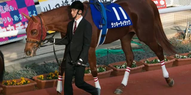 【日経新春杯2026予想】ライラック、牝馬には鬼門のレースも地力は上位