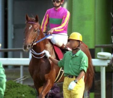 G1・7勝のテイエムオペラオー、亡くなる