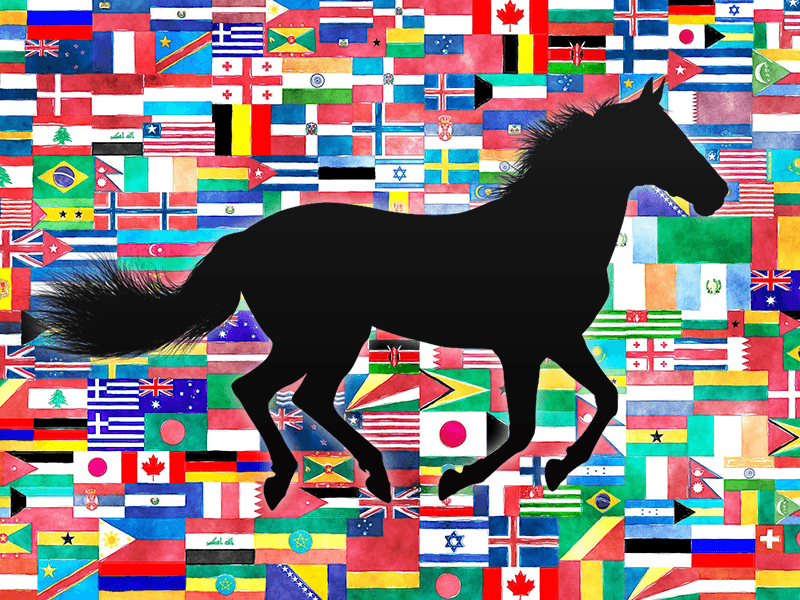 【ジャパンカップ2018予想】13年ぶり外国馬Vなるか？外国馬2頭を考察