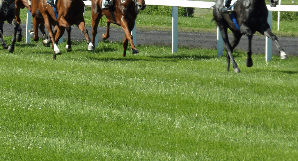 【鳴尾記念2018予想】前有利な展開か？後ろ過ぎる馬は差し届かない可能性も