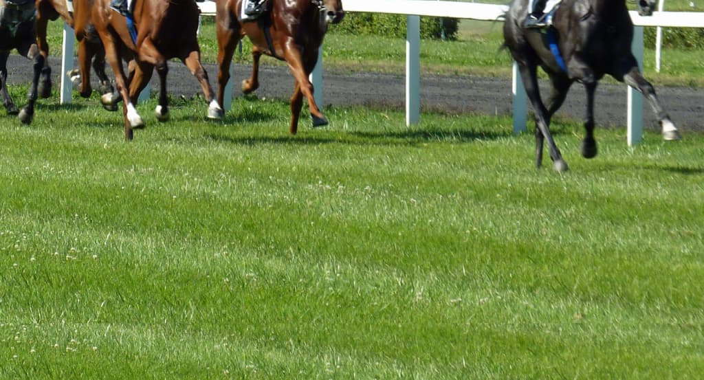 【鳴尾記念2018予想】前有利な展開か？後ろ過ぎる馬は差し届かない可能性も