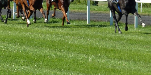 【関屋記念2018予想】逃げ馬に注目！3頭の逃げ馬候補を考察