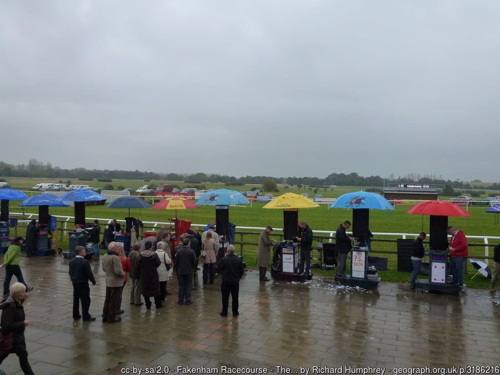 【オークス2018予想】パイオニアバイオ、条件整えば頭も狙える？