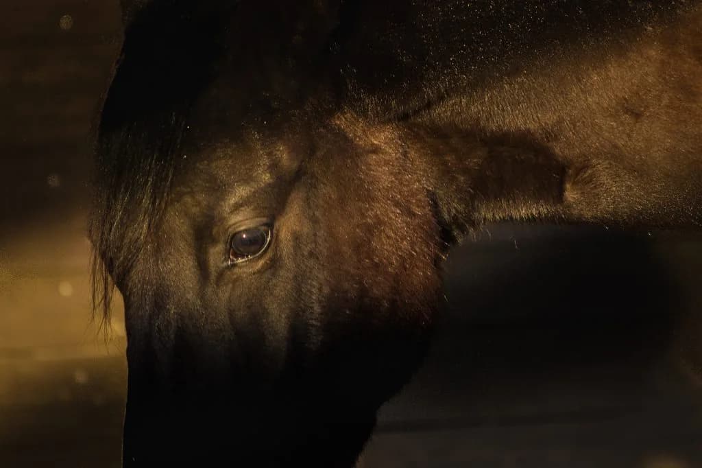 【ジャックルマロワ賞2018予想】レースのカギを握るのは？