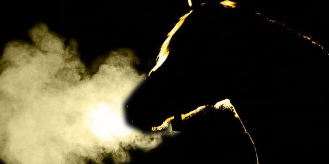 【セントライト記念2018予想】遅れてきた大物はレイエンダだけではない？要注目の1頭とは