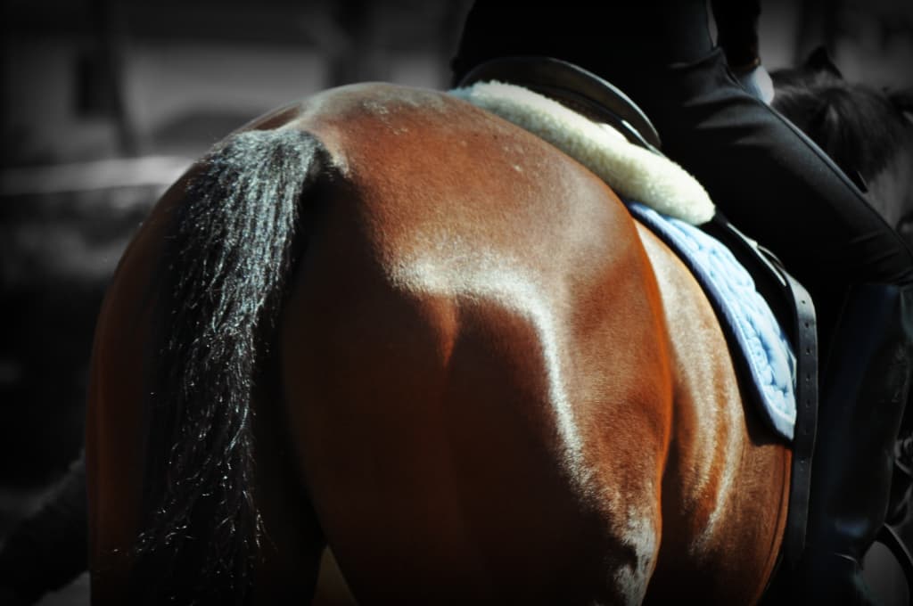 【ラジオNIKKEI賞2025予想】軽ハンデ馬が波乱の立役者に！53kg背負うスナークピカソに注目