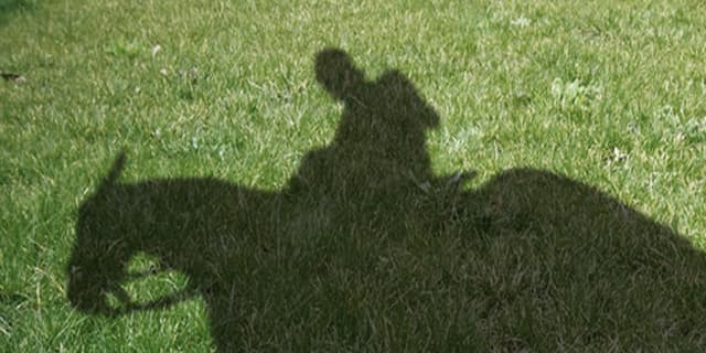 【セントライト記念2019予想】距離短縮のオセアグレイト、芝2200mも短いステイヤーか