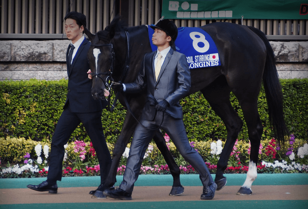 ソウルスターリング骨折、全治3ヶ月