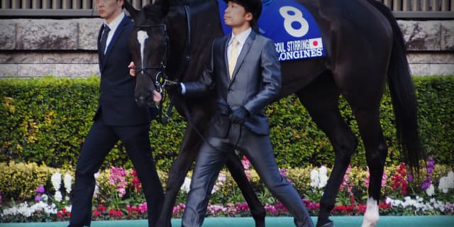 【ヴィクトリアマイル予想2018】ソウルスターリングは本当に終わってしまったのか？