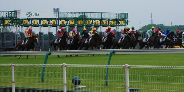 【NHKマイル2018予想】高速馬場で本領発揮！東京ならプリモシーン