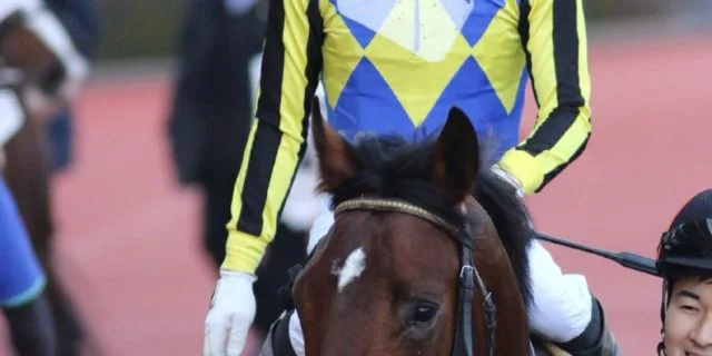 【CBC賞2018予想】後のG1馬を負かしたダイメイフジ、試金石の一戦