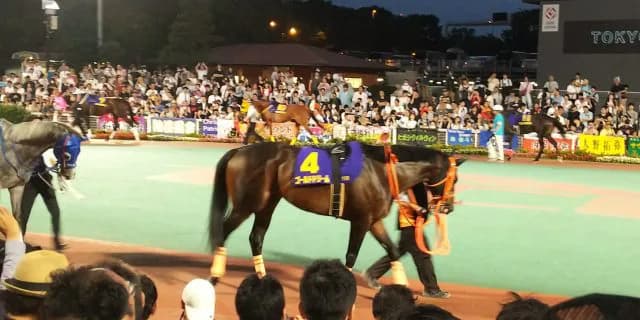 ゴールドドリーム、次走は東京大賞典。その後はフェブラリーSを目標