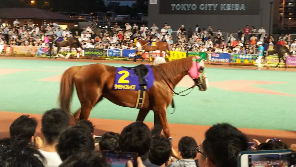 重賞10勝のケイティブレイブが引退、種牡馬へ