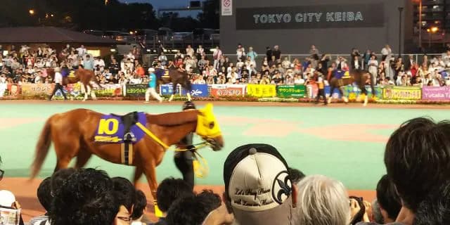 サウンドトゥルー衰え見せず、10歳にして7馬身差圧勝