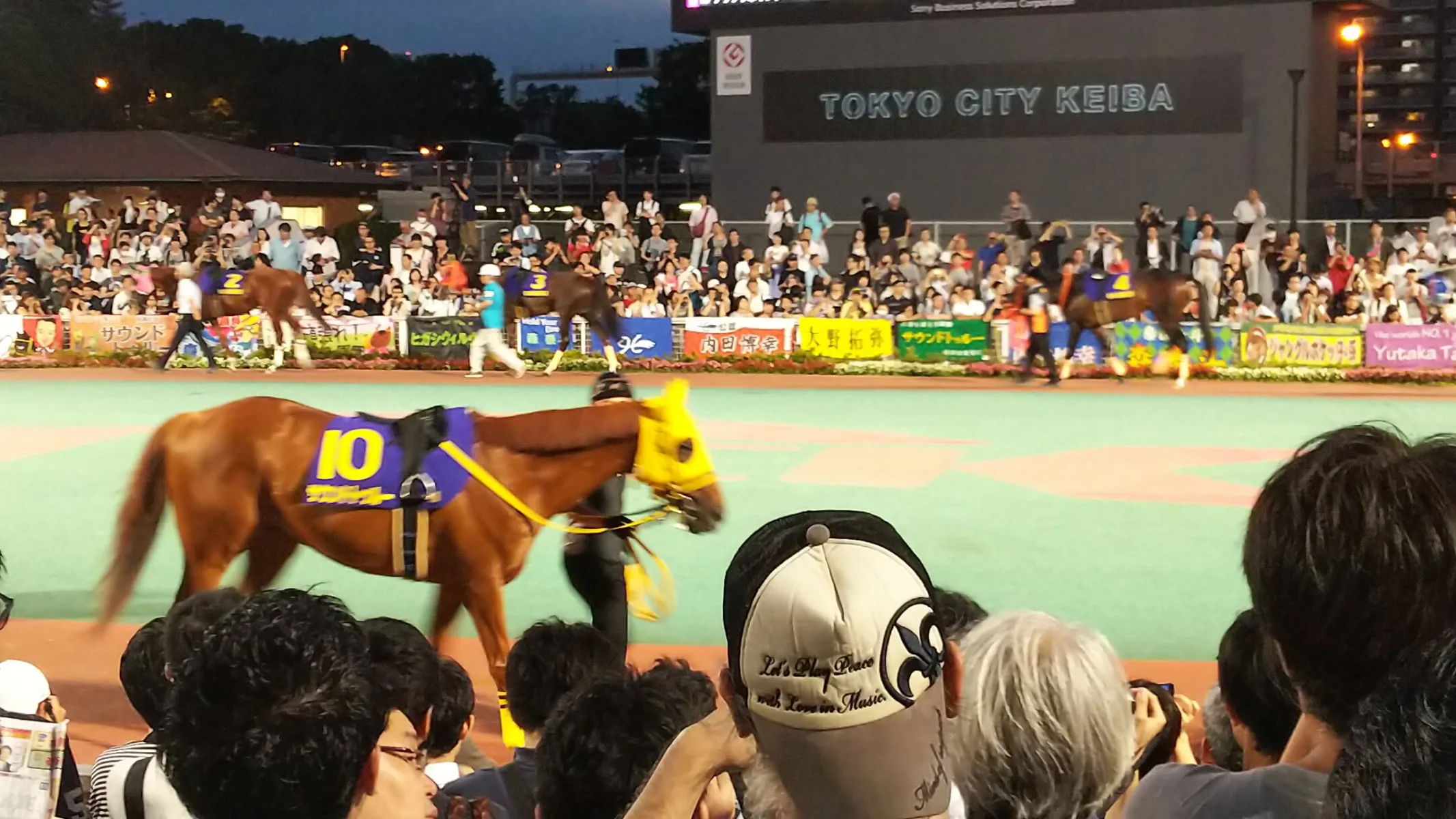 サウンドトゥルー衰え見せず、10歳にして7馬身差圧勝