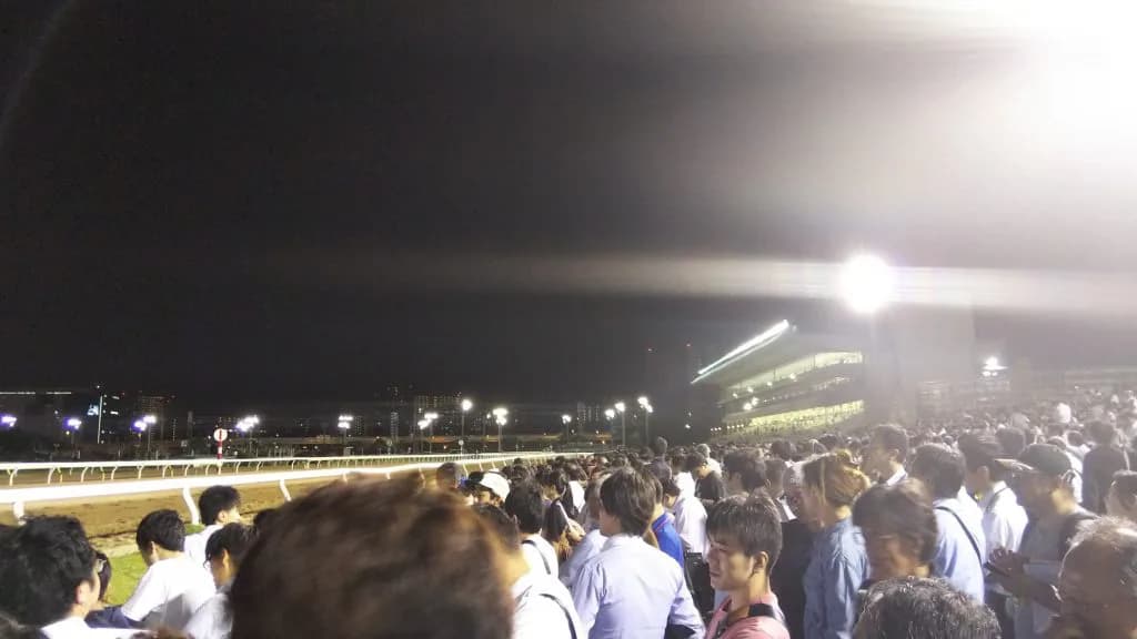 【帝王賞2022】連覇狙うテーオーケインズや昨年2着のノンコノユメなど選定馬が発表