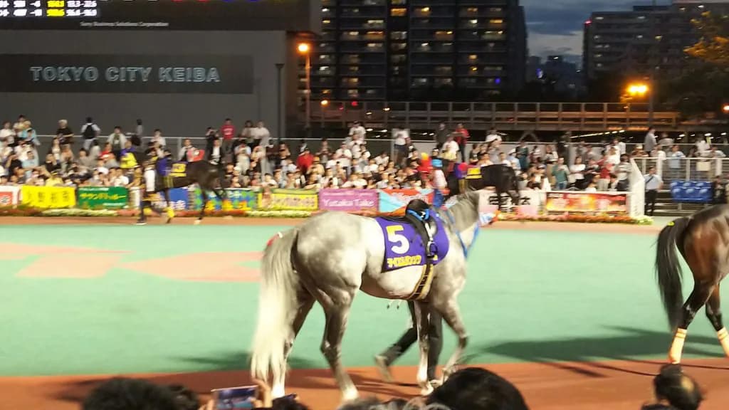 テイエムジンソク、引退。種牡馬へ