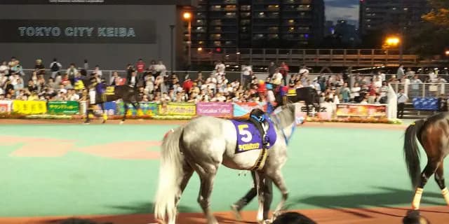 テイエムジンソク、引退。種牡馬へ