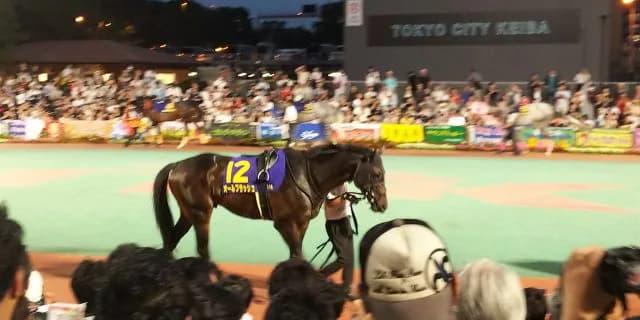 オールブラッシュ引退、無事に種牡馬へ
