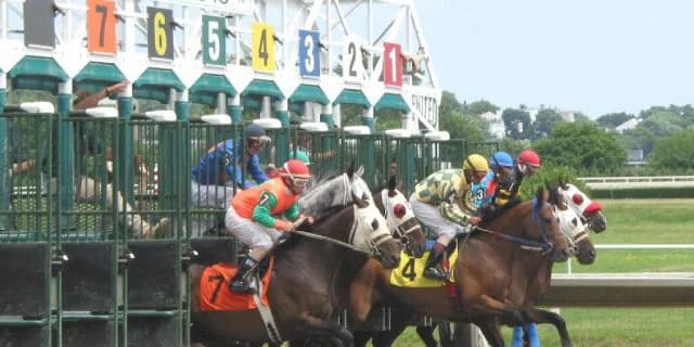 【CBC賞2018予想】スタート五分ならアサクサゲンキ