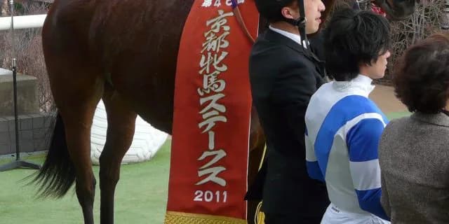 【注目新馬】ショウリュウムーンの初仔ショウリュウイクゾがデビュー