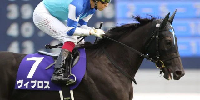 【宝塚記念2018予想】ドバイ遠征明けのヴィブロス、気になる状態面は？