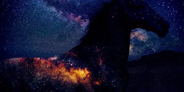 【パラダイスS予想2018】スターオブペルシャ、人気でも逆らうのは危険か